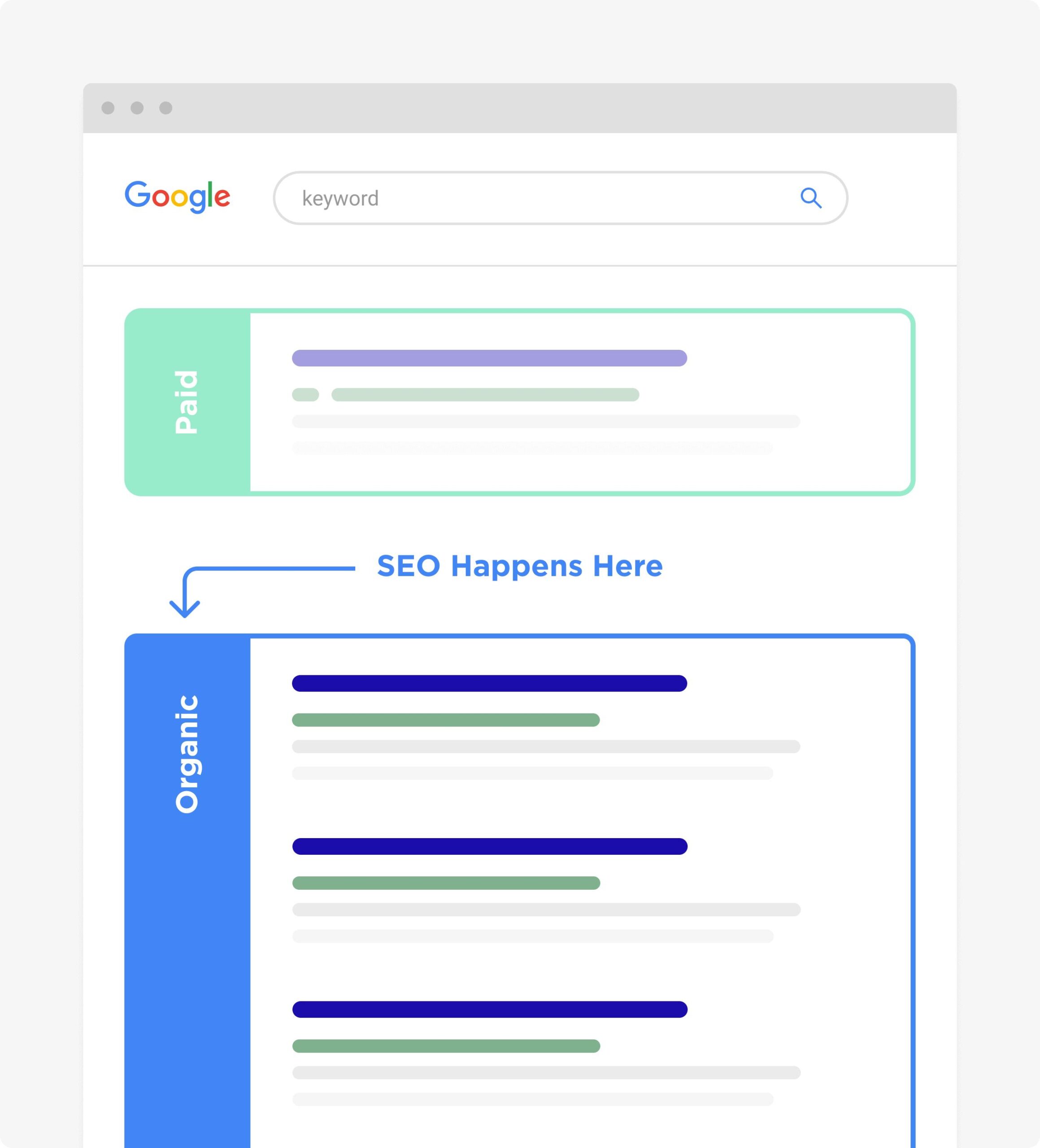 SEO vs. Paid Ads For Pineville Businesses